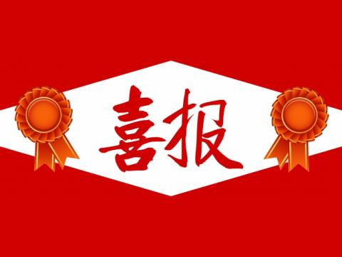 喜报！南宫28NG相信品牌力量电气集团团委荣获“镇江市五四红旗团委”称号