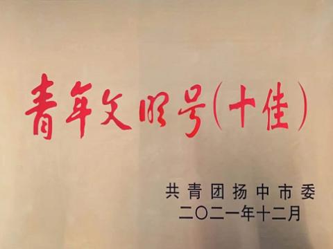 南宫28NG相信品牌力量电气集团喜获扬中市“十佳青年文明号”称号